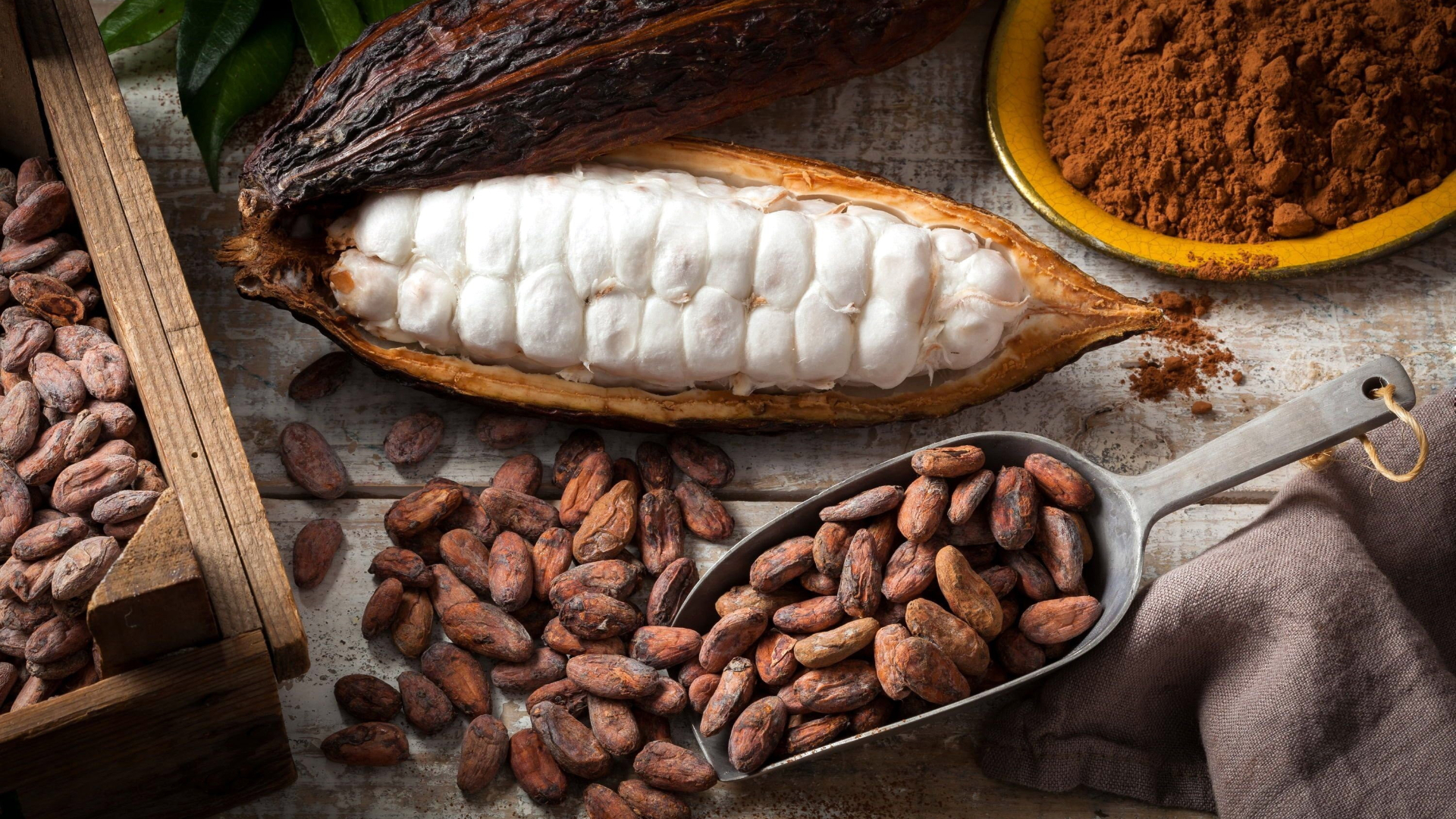 Picture of cacao fruit and cocoa beans.